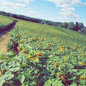 Meet your Posher, Abigail